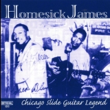 Homesick James - Chicago Slide Guitar Legend '2000