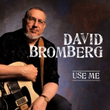 David Bromberg - Use Me '2011
