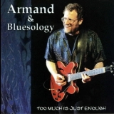Armand & Bluesology - Too Much Is Not Enough '2001