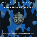 William Orbit - Water From A Vine Leaf [CDM] '1993