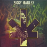 Ziggy Marley - In Concert '2013