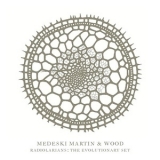 Medeski Martin & Wood - Radiolarians: The Evolutionary Set '2009 - Album