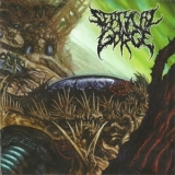 Septycal Gorge - Growing Seeds Of Decay '2012