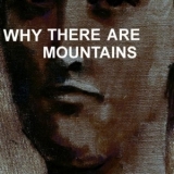 Cymbals Eat Guitars - Why There Are Mountains '2009