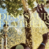 Dinosaur Feathers - Whistle Tips '2012