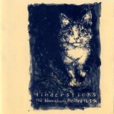 Tindersticks - The Bloomsbury Theatre '1995