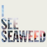 The Drones - I See Seaweed '2013
