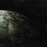 Augrimmer - Moth And The Moon '2016