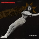 Dog Faced Hermans - Hum Of Life '1993