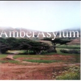 Amber Asylum - Black Lodge '2000