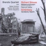 Strauss, Schoenberg - Brandiss Quartett & others - Strauss, Schoenberg Music for String Ensembles '1999