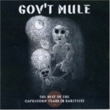 Gov't Mule - Rarities '2006