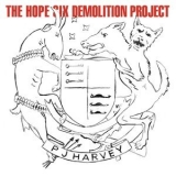PJ Harvey - The Hope Six Demolition Project '2016