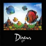 Discus - 1st '1999