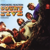 Count Five - Psychotic Reaction '1966