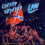 Lynyrd Skynyrd - Southern By The Grace Of God '1988