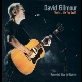 David Gilmour - Wot's... Uh The Deal? '2008