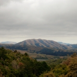 Dirty Projectors & Bjork - Mount Wittenberg Orca '2010