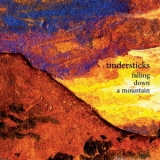Tindersticks - Falling Down A Mountain '2010