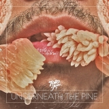 Toro Y Moi - Underneath The Pine '2011