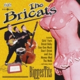 The Bricats - Biggestits '1999