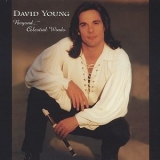 David Young - Beyond Celestial Winds '2001