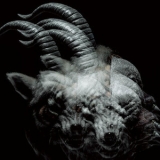 The Gazette - Beautiful Deformity '2013