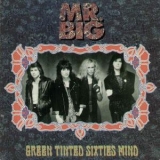 Mr. Big - Green Tinted Sixties Mind [CDS] '1991