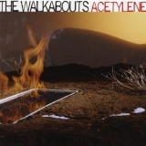 The Walkabouts - Acetylene '2005