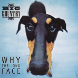 Big Country - Why The Long Face '1995 - Album