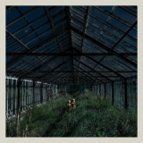 Foxing - Dealer '2015 - Album