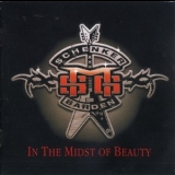 The Michael Schenker Group - In The Midst Of Beauty '2008