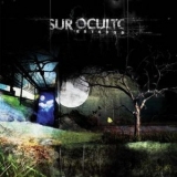 Sur Oculto - Estados '2006