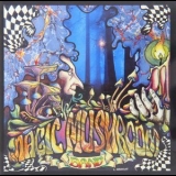 Magic Mushroom Band - Re-hash '1992