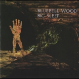 Big Sleep - Bluebell Wood '1971