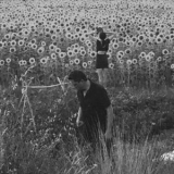 Jesu & Sun Kil Moon - Jesu / Sun Kil Moon '2016