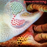 String Driven Thing - The Machine That Cried '1973