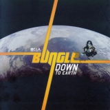 Bungle - Down To Earth '2007