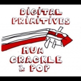Digital Primitives (tsahar) - Hum Crackle & Pop '2009