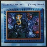 David Goldblatt - Facing North '1996