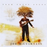 Joe Mcguinness - From These Seeds '2008
