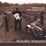 Bryan Lubeck - Acoustic Vineyard '2004
