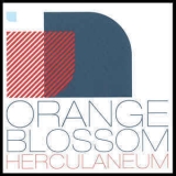 Herculaneum - Orange Blossom '2006