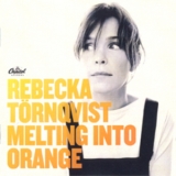 Rebecka Tornqvist - Melting Into Orange '2006