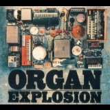 Organ Explosion - Organ Explosion '2013