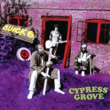 Buick 6 - Cypress Grove '1990