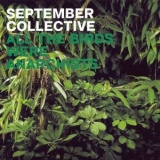 September Collective - All The Birds Were Anarchists '2007