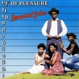 General Echo - 12'' Of Pleasure '1997