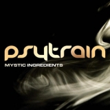 Psytrain - Mystic Ingredients '2007