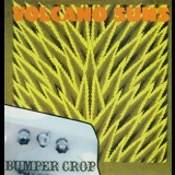 Volcano Suns - Bumper Crop '1987